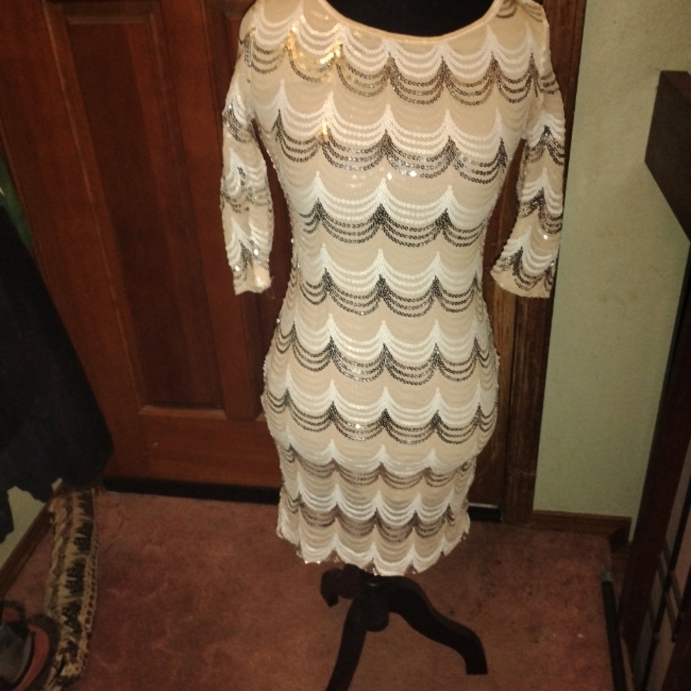 Elegant White and Silver Sequin Dress